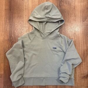 Patagonia Organic Cotton Hoodie in Light Gray
